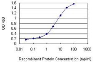 Detection limit for recombinant GST tagged BMX is 0. (BMX 抗体  (AA 150-280))