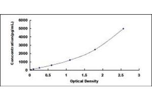 Typical standard curve (IFI35 ELISA 试剂盒)