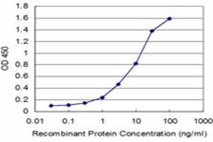 Detection limit for recombinant GST tagged DLX1 is approximately 0. (DLX1 抗体  (AA 181-254))