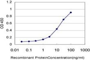 Detection limit for recombinant GST tagged USP3 is approximately 0. (USP3 抗体  (AA 421-520))