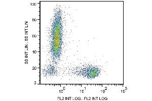 Flow Cytometry analysis  Surface staining of human peripheral blood cells with anti-human CD27 (LT27) PE. (CD27 抗体  (PE))