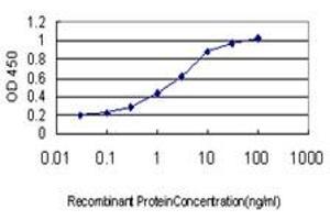 Detection limit for recombinant GST tagged TEK is approximately 0. (TEK 抗体  (AA 701-800))