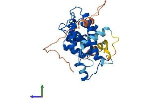 Protein Structure (PS) image for Calpain, Small Subunit 1 (CAPNS1) (AA 1-268) protein (His tag) (ABIN7546692)