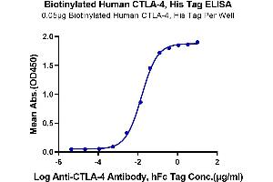 ELISA image for Cytotoxic T-Lymphocyte-Associated Protein 4 (CTLA4) protein (His-Avi Tag,Biotin) (ABIN7274437)