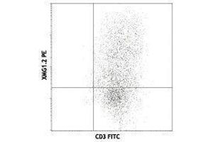 Flow Cytometry (FACS) image for anti-Interferon gamma (IFNG) antibody (PE) (ABIN2663984) (Interferon gamma 抗体  (PE))