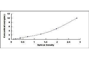 Typical standard curve (Nephronectin ELISA 试剂盒)