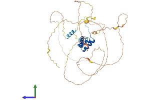 Protein Structure (PS) image for Homeobox even-skipped homolog protein 2 (EVX2) (AA 1-476) protein (His tag) (ABIN7547537)