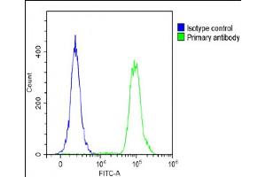 Overlay histogram showing A431 cells stained with E(green line). (beta 2 Adrenergic Receptor 抗体  (AA 345-373))