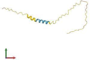 AlphaFold protein structure predicition of Human Recombinant PRAC2 Protein, UniprotID D3DTV9