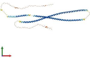 Protein Structure (PS) image for Keratin 80 (KRT80) (AA 1-452) protein (His tag) (ABIN7556947)