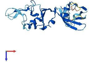 Protein Structure (PS) image for Cytochrome B5 Domain Containing 1 (CYB5D1) (AA 1-228) protein (His tag) (ABIN7552900)