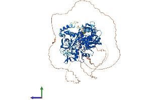 AlphaFold protein structure predicition of Mouse Recombinant Dnmt3b Protein, UniprotID O88509