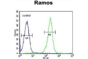 Flow Cytometry (FACS) image for anti-Paired Box 5 (PAX5) (AA 185-215), (Middle Region) antibody (ABIN954009)