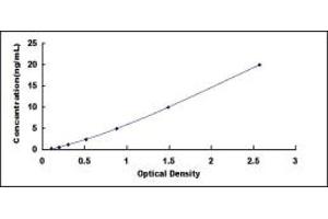 Typical standard curve (ATF6 ELISA 试剂盒)