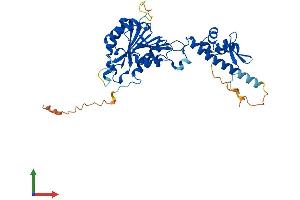 Protein Structure (PS) image for HEN1 Methyltransferase Homolog 1 (HENMT1) (AA 1-395) protein (His tag) (ABIN7559216)