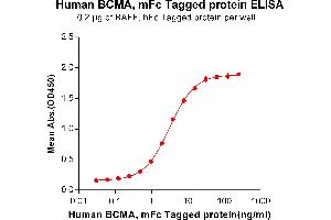 ELISA image for Tumor Necrosis Factor Receptor Superfamily, Member 17 (TNFRSF17) (AA 1-54) protein (mFc Tag) (ABIN6961108)