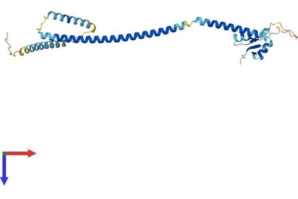 CENPK Protein (AA 1-269) (His tag)