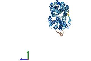 Protein Structure (PS) image for Solute Carrier Family 22 (Organic Cation Transporter), Member 7 (SLC22A7) (AA 1-548) protein (His tag) (ABIN7555381)