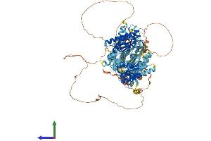 AlphaFold protein structure predicition of Human Recombinant ADCY5 Protein, UniprotID O95622