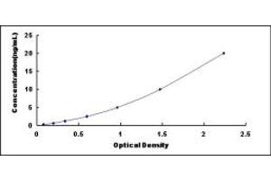 Typical standard curve (NR4A3 ELISA 试剂盒)