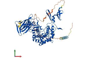 Protein Structure (PS) image for Glucuronic Acid Epimerase (GLCE) (AA 1-618) protein (His tag) (ABIN7561385)