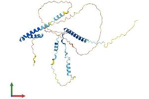 Protein Structure (PS) image for Glutamate Receptor, Ionotropic, N-Methyl D-Aspartate-Like 1A (GRINL1A) (AA 1-368) protein (His tag) (ABIN7548166)