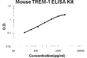 Mouse TREM-1 PicoKine ELISA Kit standard curve (TREM1 ELISA 试剂盒)