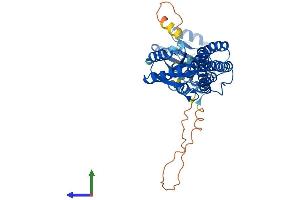 Protein Structure (PS) image for ATPase, H+ Transporting, Lysosomal 42kDa, V1 Subunit C2 (ATP6V1C2) (AA 1-427) protein (His tag) (ABIN7545025)