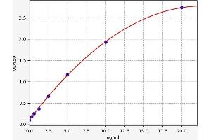 alpha-L-Fucosidase (Fuca) ELISA 试剂盒