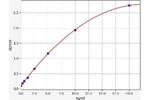 Typical standard curve (alpha-L-Fucosidase (Fuca) ELISA 试剂盒)