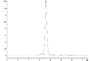 The purity of Biotinylated Human CD93/C1q R1 is greater than 95 % as determined by SEC-HPLC. (CD93 Protein (CD93) (AA 22-580) (His-Avi Tag,Biotin))