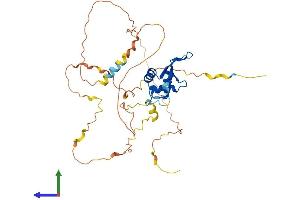 Protein Structure (PS) image for Forkhead Box I1 (FOXI1) (AA 1-372) protein (His tag) (ABIN7560224)