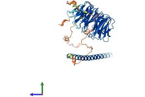 Protein Structure (PS) image for POC1 Centriolar Protein Homolog B (POC1B) (AA 1-476) protein (His tag) (ABIN7558629)