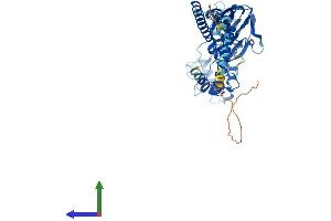 Protein Structure (PS) image for Amiloride-Sensitive Cation Channel 1, Neuronal (ACCN1) (AA 1-512) protein (His tag) (ABIN7560275)