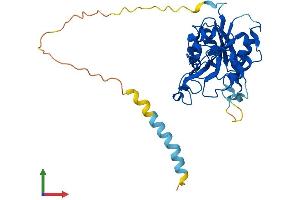 Protein Structure (PS) image for beta-1,3-Glucuronyltransferase 1 (Glucuronosyltransferase P) (B3GAT1) (AA 1-334) protein (His tag) (ABIN7552502)