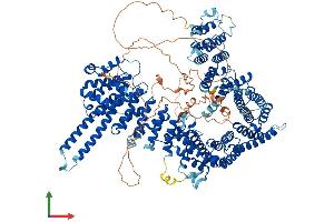 Protein Structure (PS) image for Stromal Antigen 2 (STAG2) (AA 1-1231) protein (His tag) (ABIN7562347)