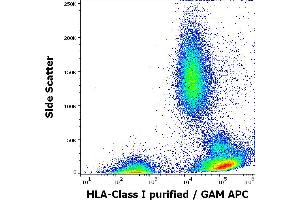 Flow cytometry surface staining pattern of human peripheral whole blood stained using anti-HLA Class I (W6/32) purified antibody (concentration in sample 4 μg/mL, GAM APC). (MICA 抗体)