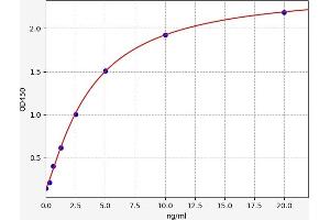 Complement Factor D (CFD) ELISA Kit