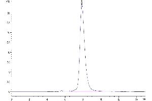 Size-exclusion chromatography-High Pressure Liquid Chromatography (SEC-HPLC) image for SARS-CoV-2 Spike S1 (E484K), (K417N), (N501Y) protein (His tag) (ABIN7274391)