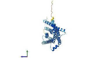 AlphaFold protein structure predicition of Human Recombinant TAS2R3 Protein, UniprotID Q9NYW6
