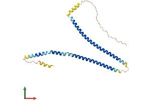 Protein Structure (PS) image for Synaptonemal Complex Central Element Protein 1-Like (SYCE1L) (AA 1-247) protein (His tag) (ABIN7557426)