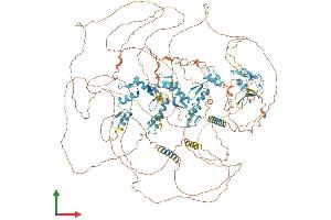 Protein Structure (PS) image for PR Domain Containing 16 (PRDM16) (AA 1-1275) protein (His tag) (ABIN7561879)