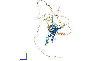 AlphaFold protein structure predicition of Mouse Recombinant Marveld2 Protein, UniprotID Q3UZP0 (Tricellulin Protein (MARVELD2) (AA 1-555) (His tag))