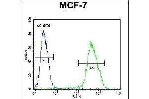 LMO4 Antibody (Center) (ABIN654714 and ABIN2844403) flow cytometric analysis of MCF-7 cells (right histogram) compared to a negative control cell (left histogram). (LMO4 抗体  (AA 104-131))