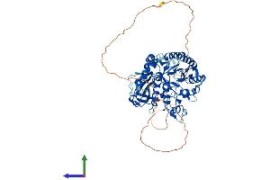 Protein Structure (PS) image for Solute Carrier Family 3 (Activators of Dibasic and Neutral Amino Acid Transport), Member 2 (SLC3A2) (AA 1-630) protein (His tag) (ABIN7551777)