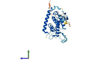 AlphaFold protein structure predicition of Mouse Recombinant Gemin2 Protein, UniprotID Q9CQQ4