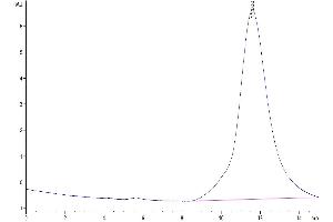 Size-exclusion chromatography-High Pressure Liquid Chromatography (SEC-HPLC) image for EPH Receptor B2 (EPHB2) (AA 19-543) protein (His tag) (ABIN7274560)