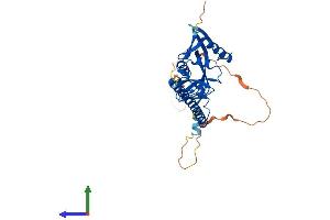 Protein Structure (PS) image for Ras Association (RalGDS/AF-6) Domain Family Member 2 (RASSF2) (AA 1-326) protein (His tag) (ABIN7551210)