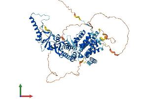 Protein Structure (PS) image for Bardet-Biedl Syndrome 10 (BBS10) (AA 1-713) protein (His tag) (ABIN7561281)