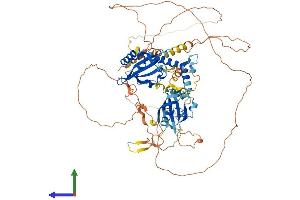 Protein Structure (PS) image for Aryl Hydrocarbon Receptor Nuclear Translocator 2 (ARNT2) (AA 1-717) protein (His tag) (ABIN7552272)